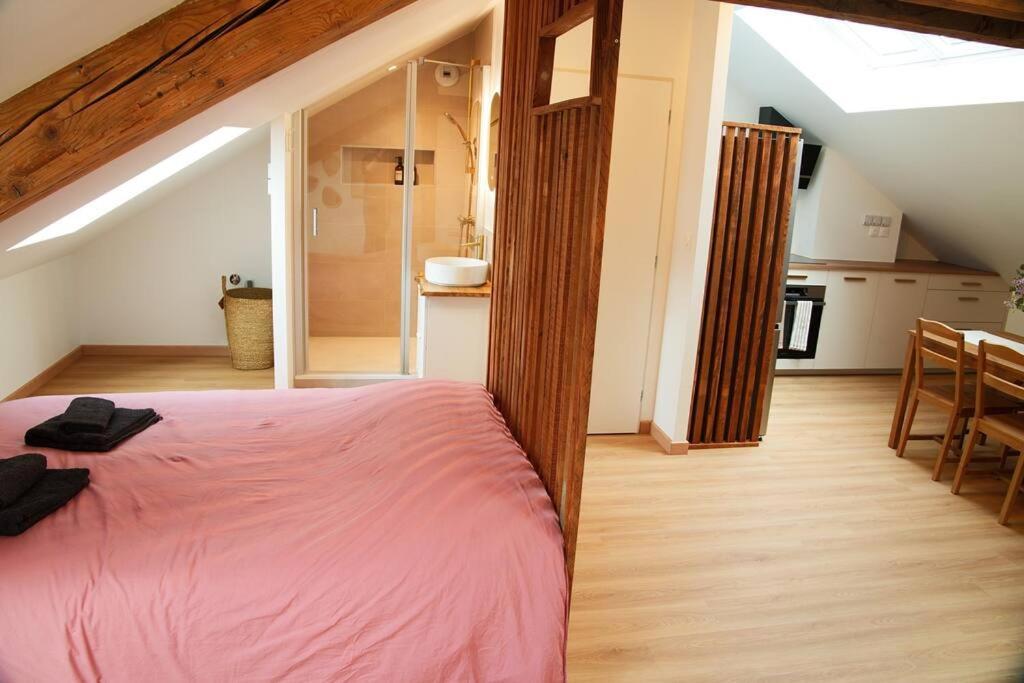 Appartement De Charme A Nancy Esterno foto