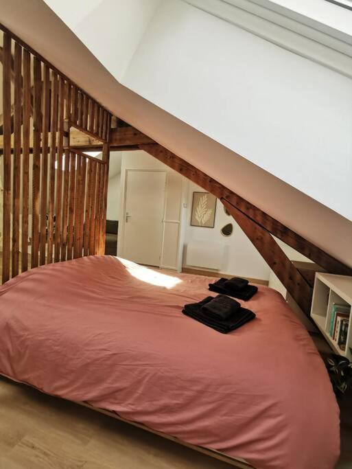 Appartement De Charme A Nancy Esterno foto